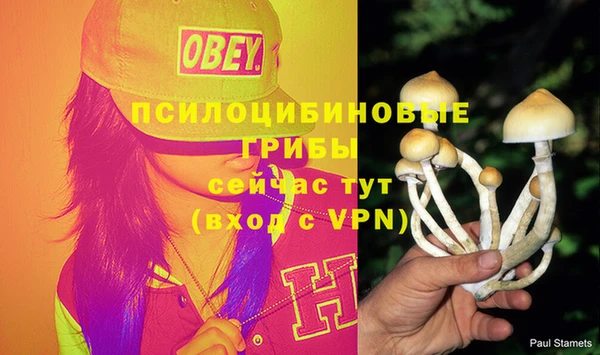 твердый Беломорск
